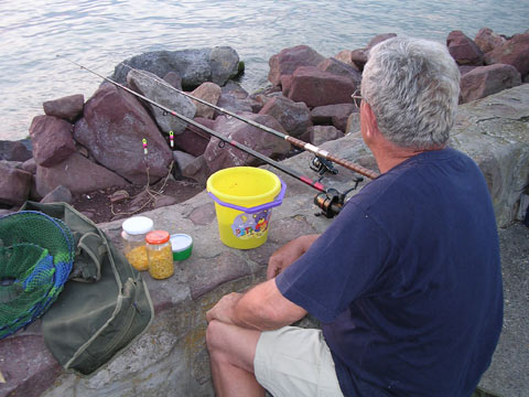 Angler in Balatonföldvár